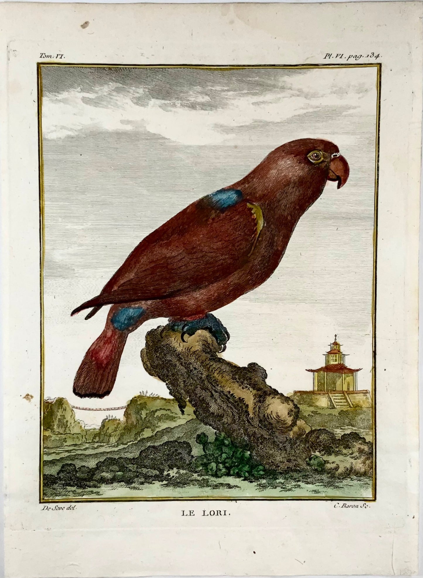 1771 Lori, De Seve, ornithologie, édition grand quart, gravure 