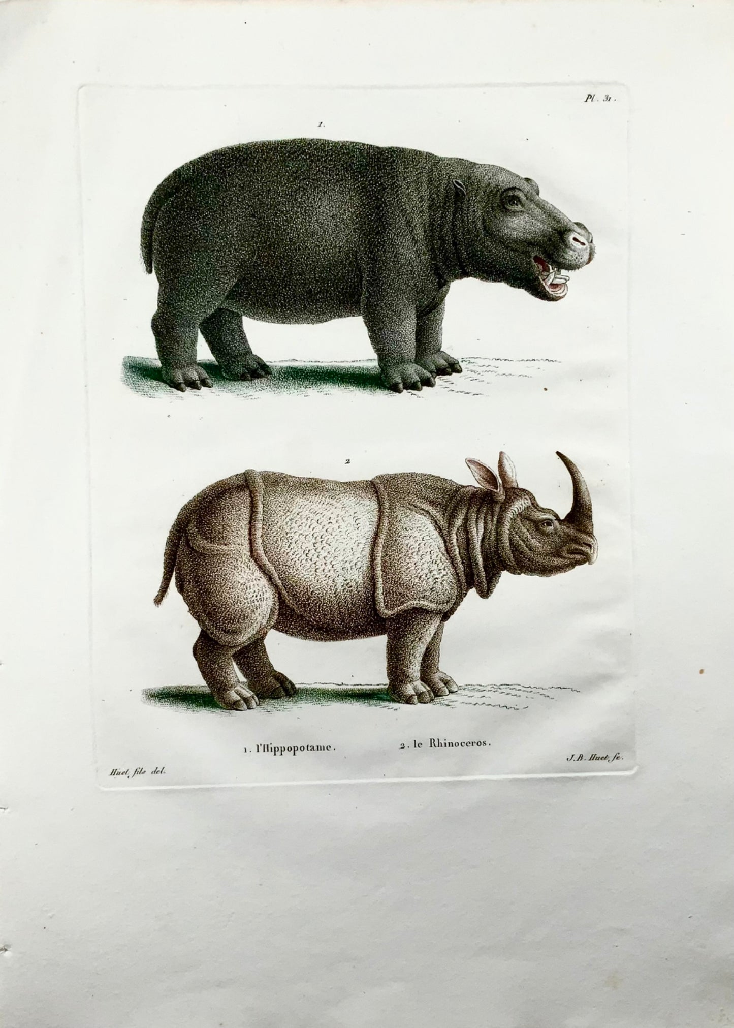 1808 Rhinoceros, Hippopotamus, J. B. Huet [b1745]; hand col stipple engraving, mammals