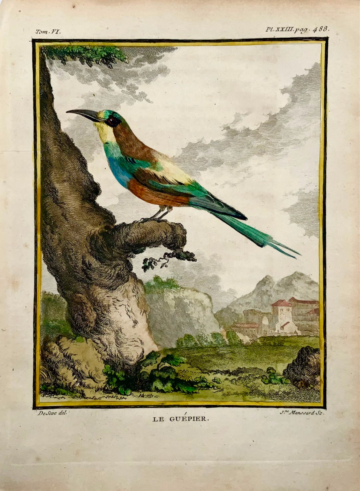 1771 Bee-Eater, De Seve, ornithology, large quarto edition, engraving
