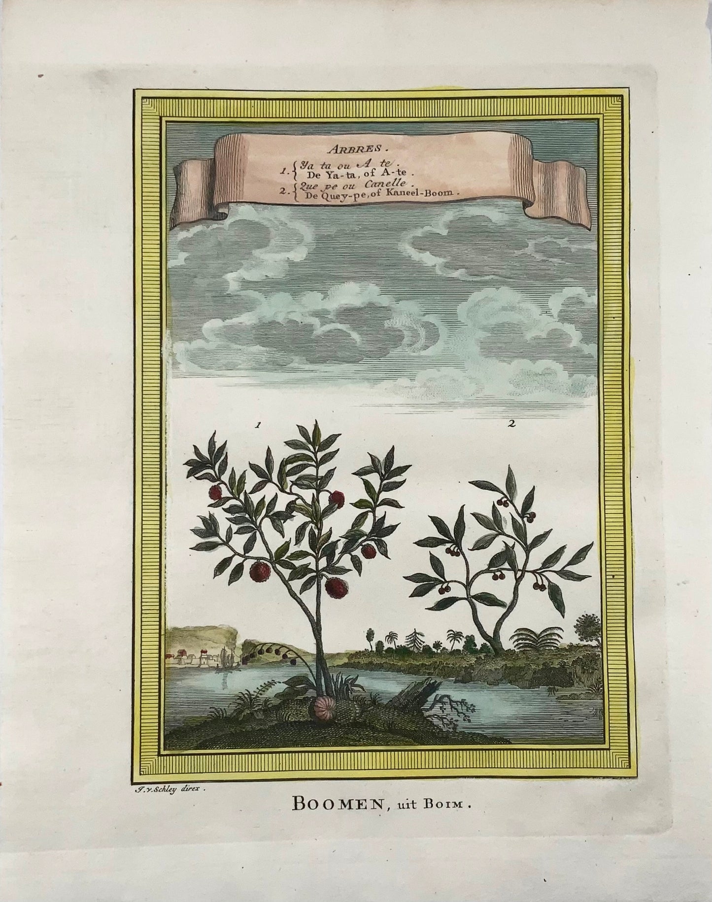 1759 Mela-zucchero; Cinammon, Schley, botanica