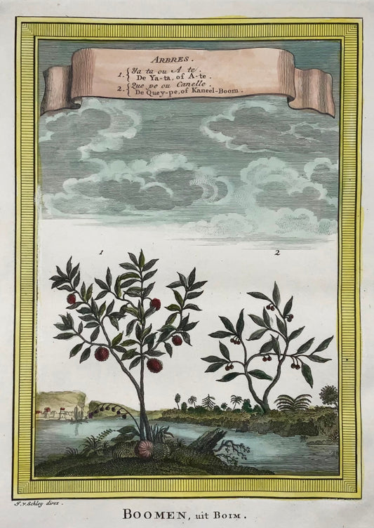 1759 Pomme à sucre ; Cannelle, Schley, botanique
