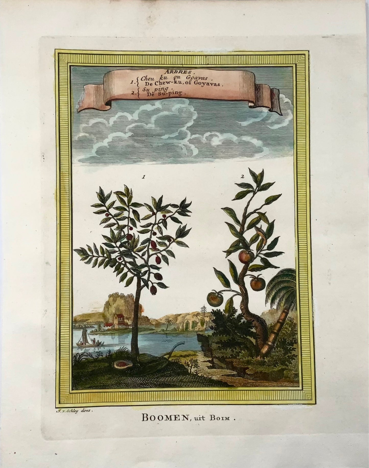 1759 Alberi, Guava, Suping, Schley, botanica, incisione
