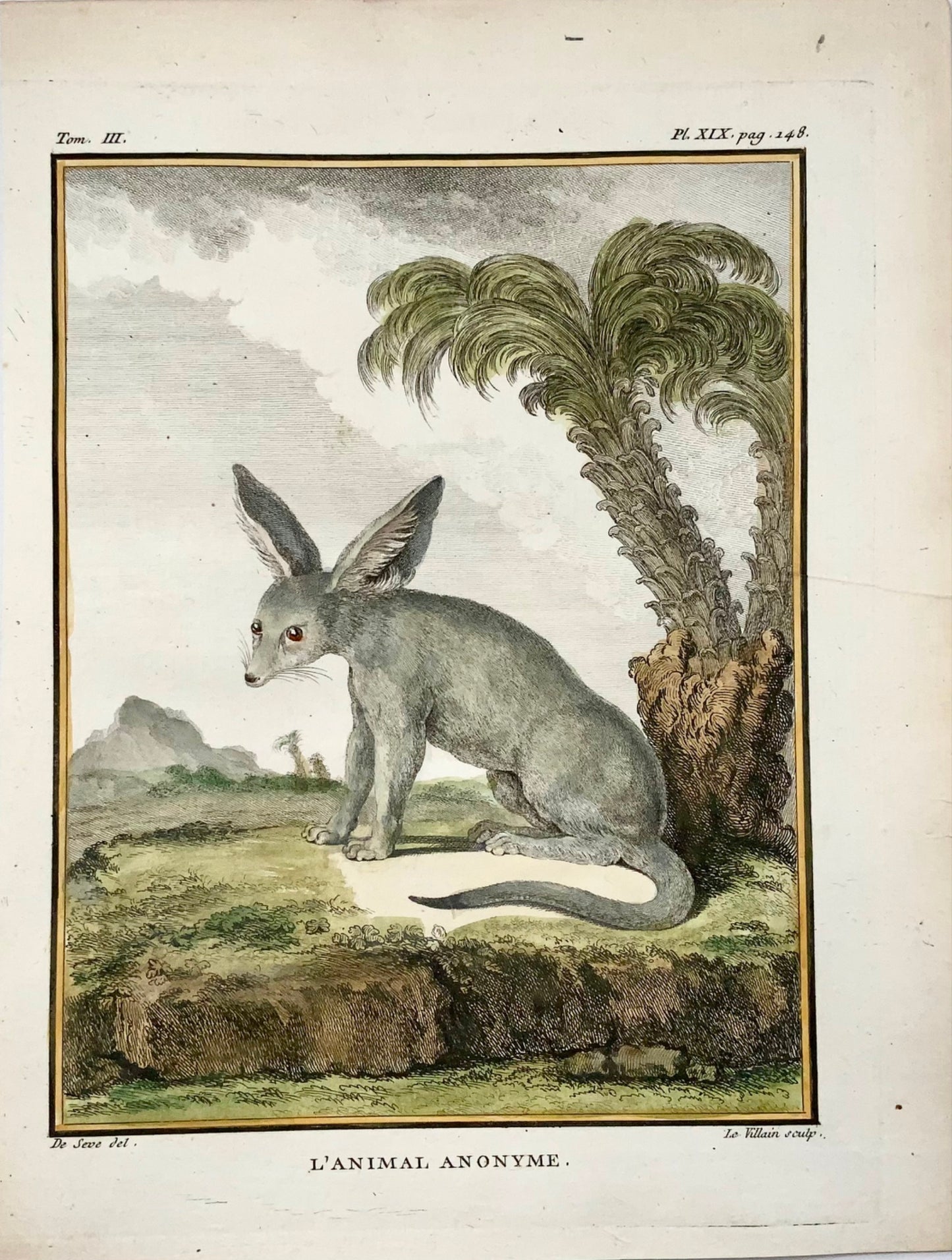 1779 Zerda, Fennec Fox; J. de Seve, Mammal, 4to engraving