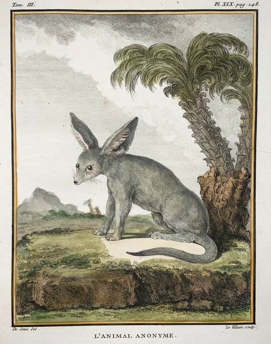 1779 Zerda, Fennec Fox; J. de Seve, Mammal, 4to engraving