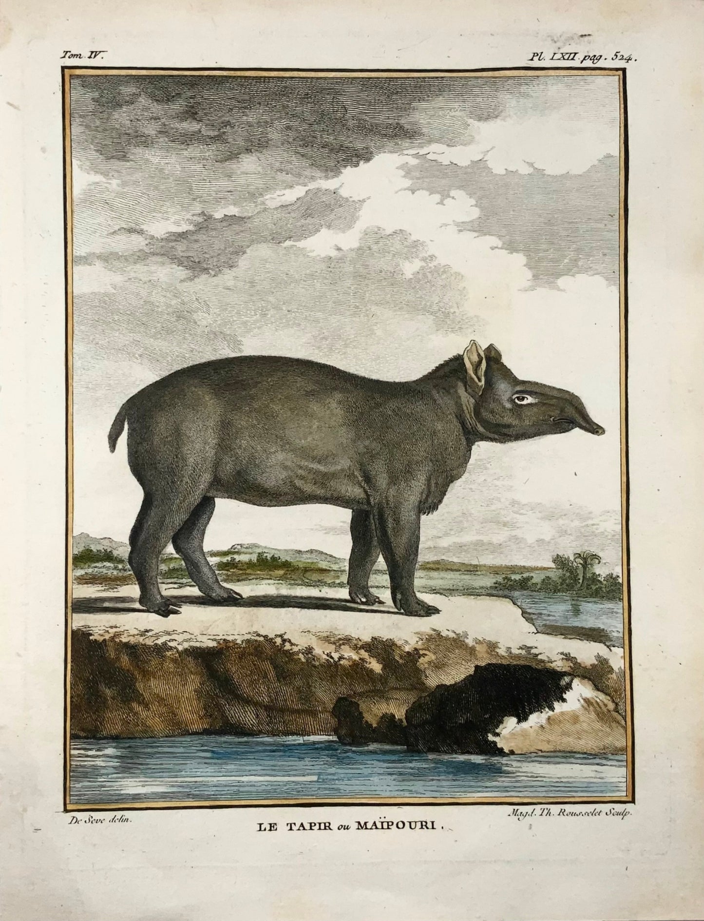 1779 Tapir ou Maipouri; J. de Seve, Mammal, 4to engraving