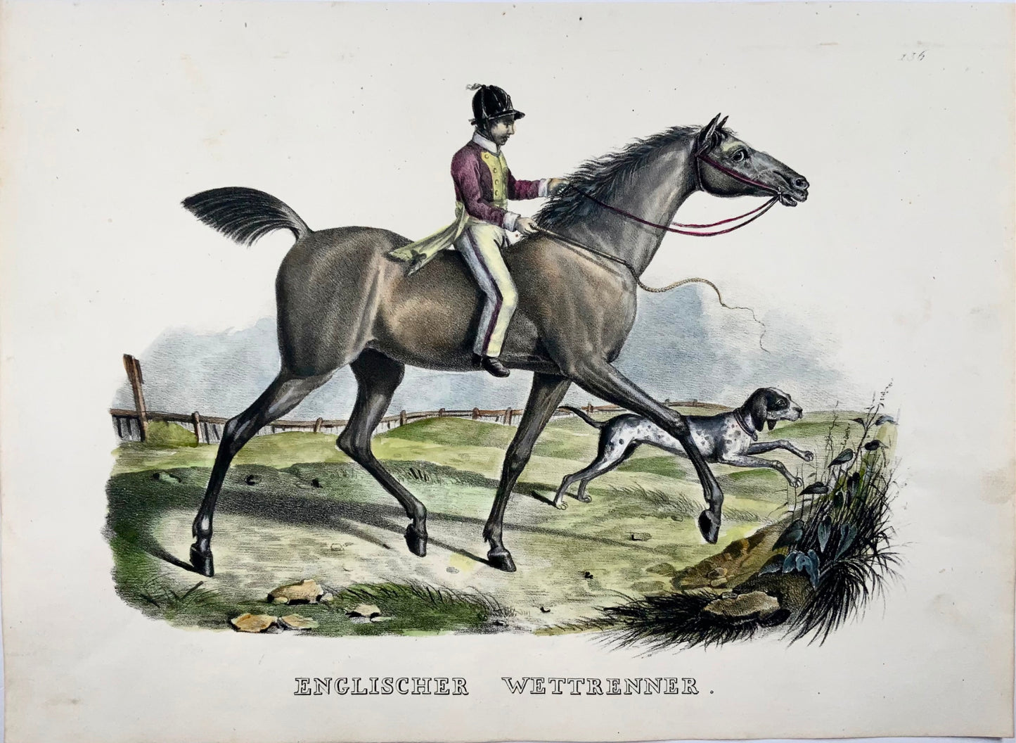 1824 Cavallo da corsa, mammifero, KJ ​​Brodtmann colorato a mano, litografia in folio