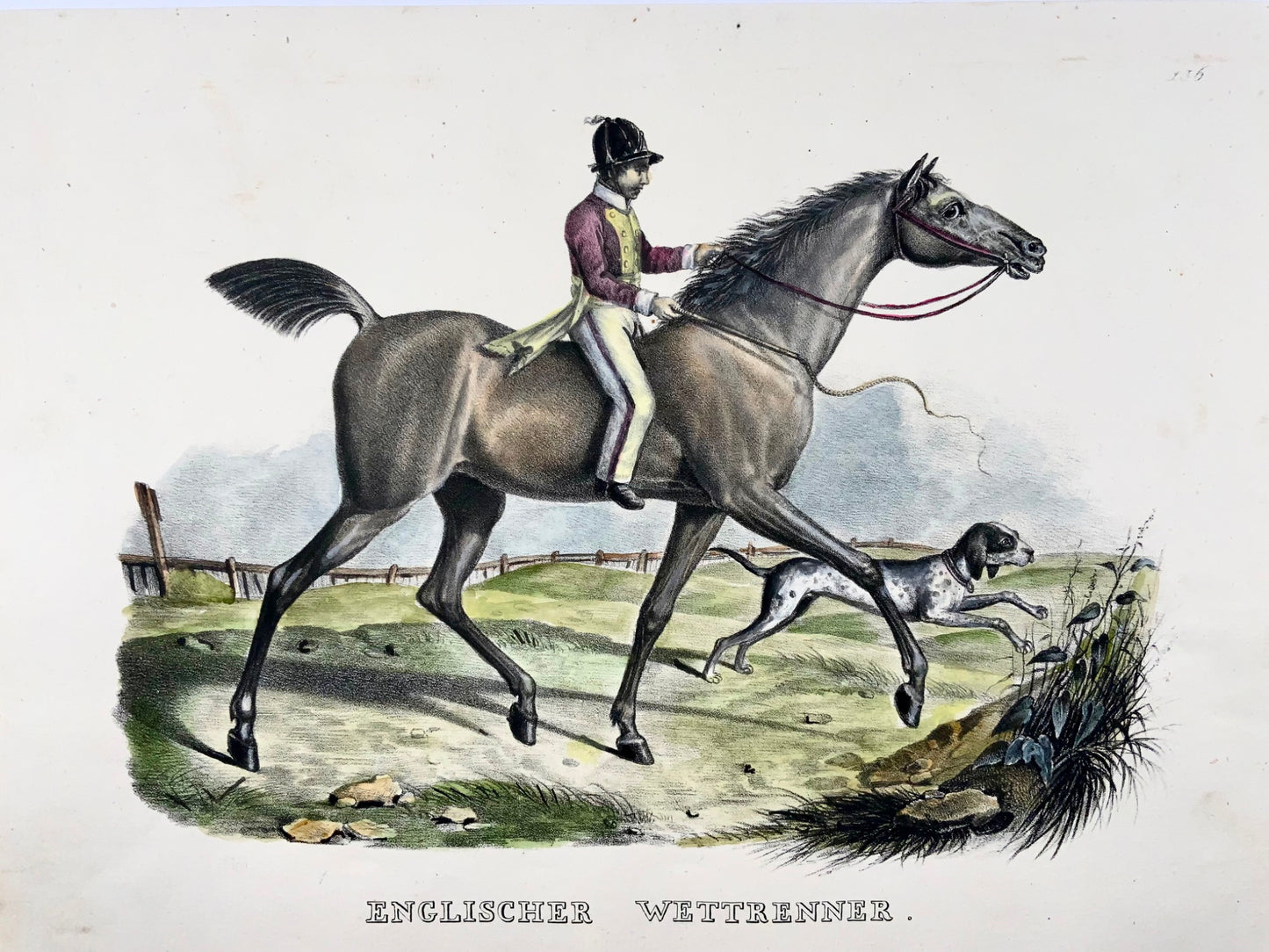 1824 Cheval de course, mammifère, KJ Brodtmann colorié à la main, lithographie folio