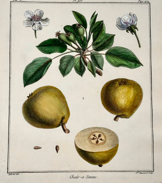 1768 Poire, Clair-Dame, fruit, Duhamel du Monceau, grand in-4, coloris main, 
