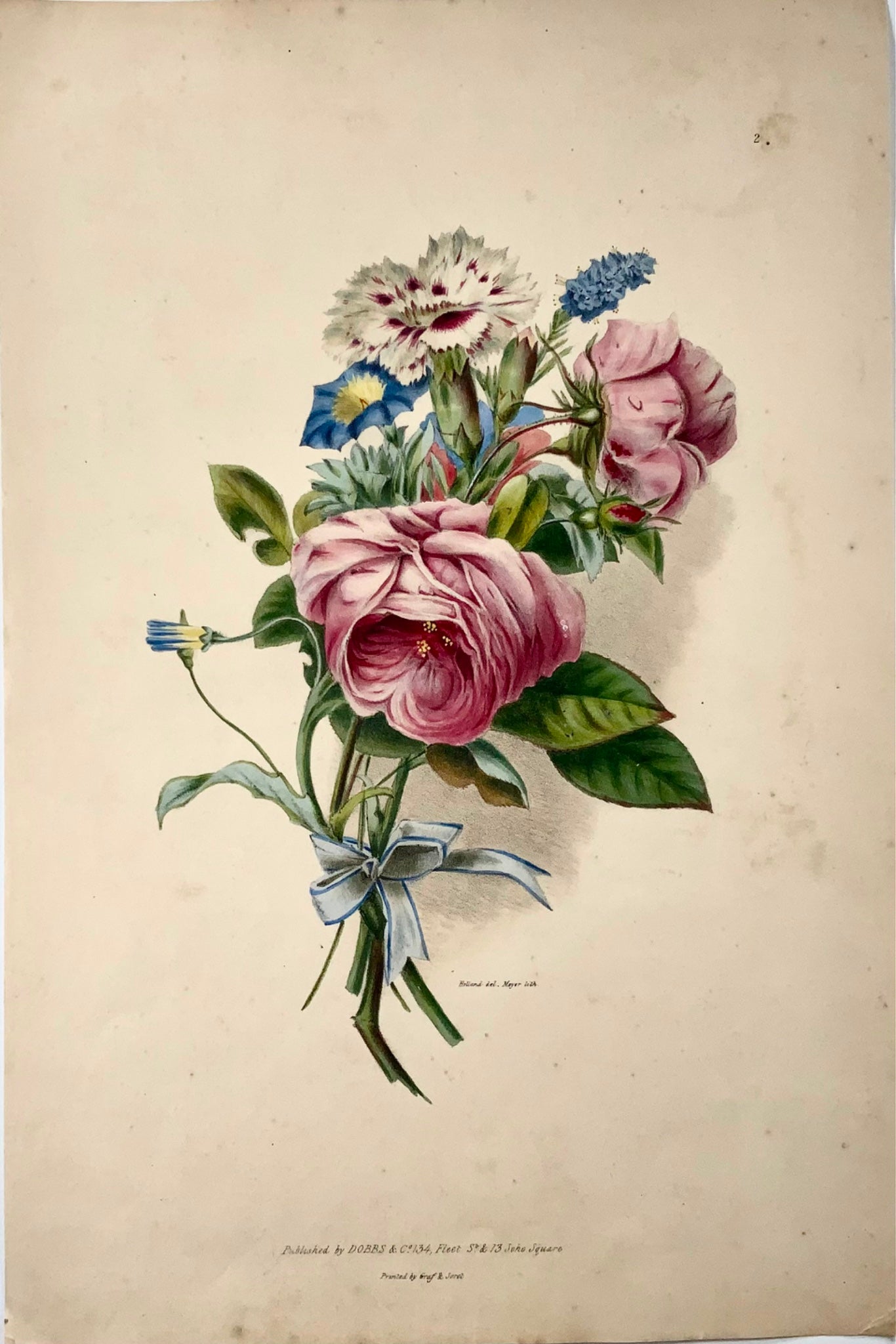 1830 Bouquet de fleurs, botanique, d'après Hollande, 35,5 cm, couleur originale main 