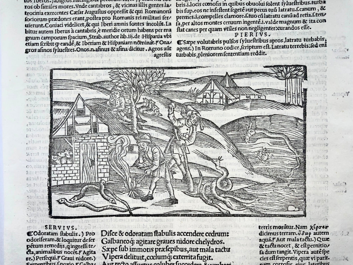 1502 Pestilence in the guise of Snakes, incunable woodcut, Virgil’s Georgics