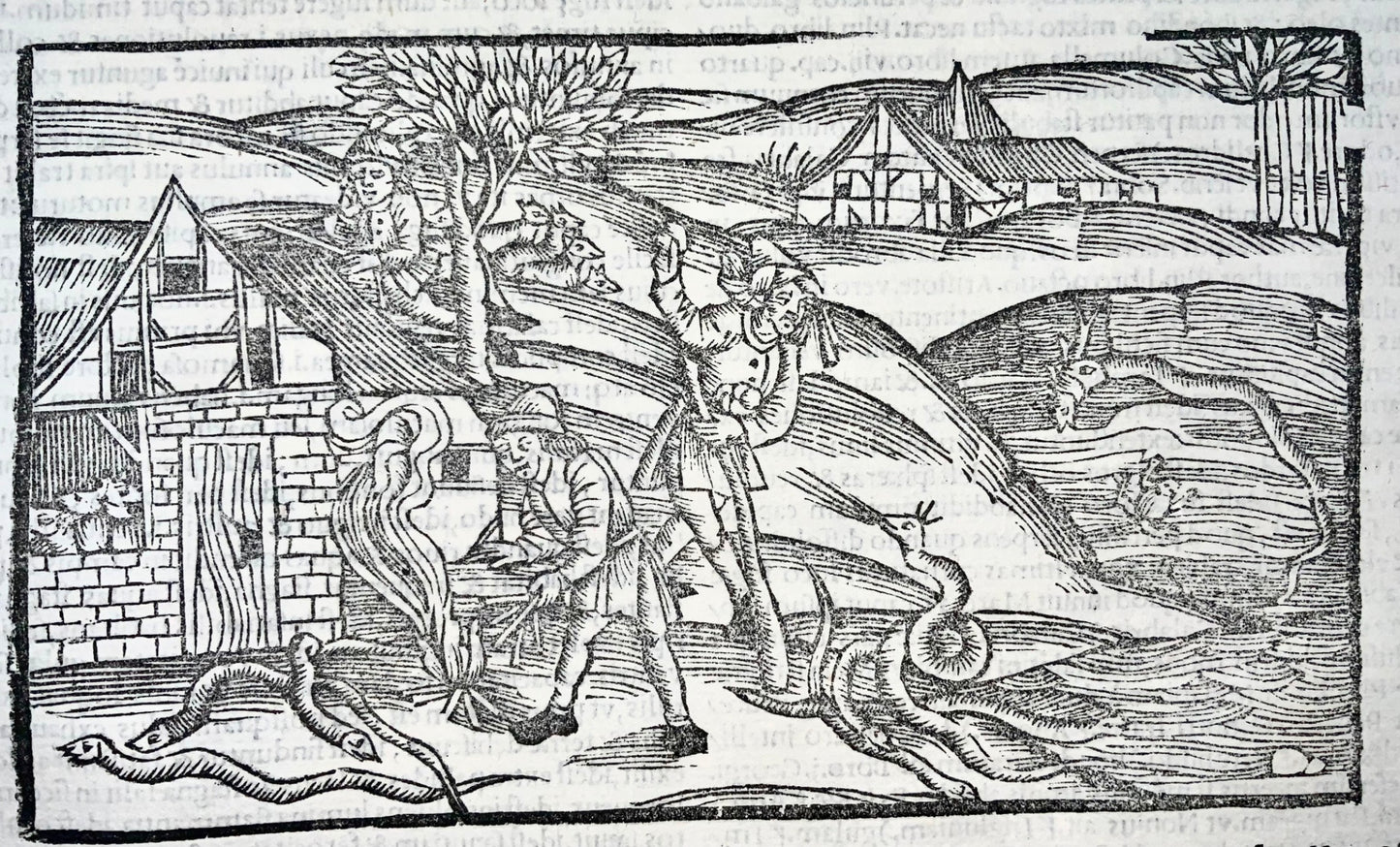 1502 Pestilenza sotto le sembianze di serpenti, xilografia incunabolo, Georgiche di Virgilio