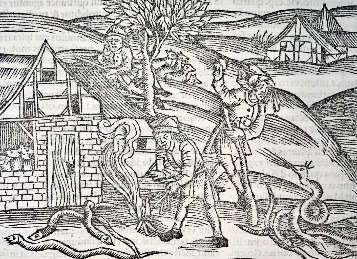 1502 Pestilenza sotto le sembianze di serpenti, xilografia incunabolo, Georgiche di Virgilio