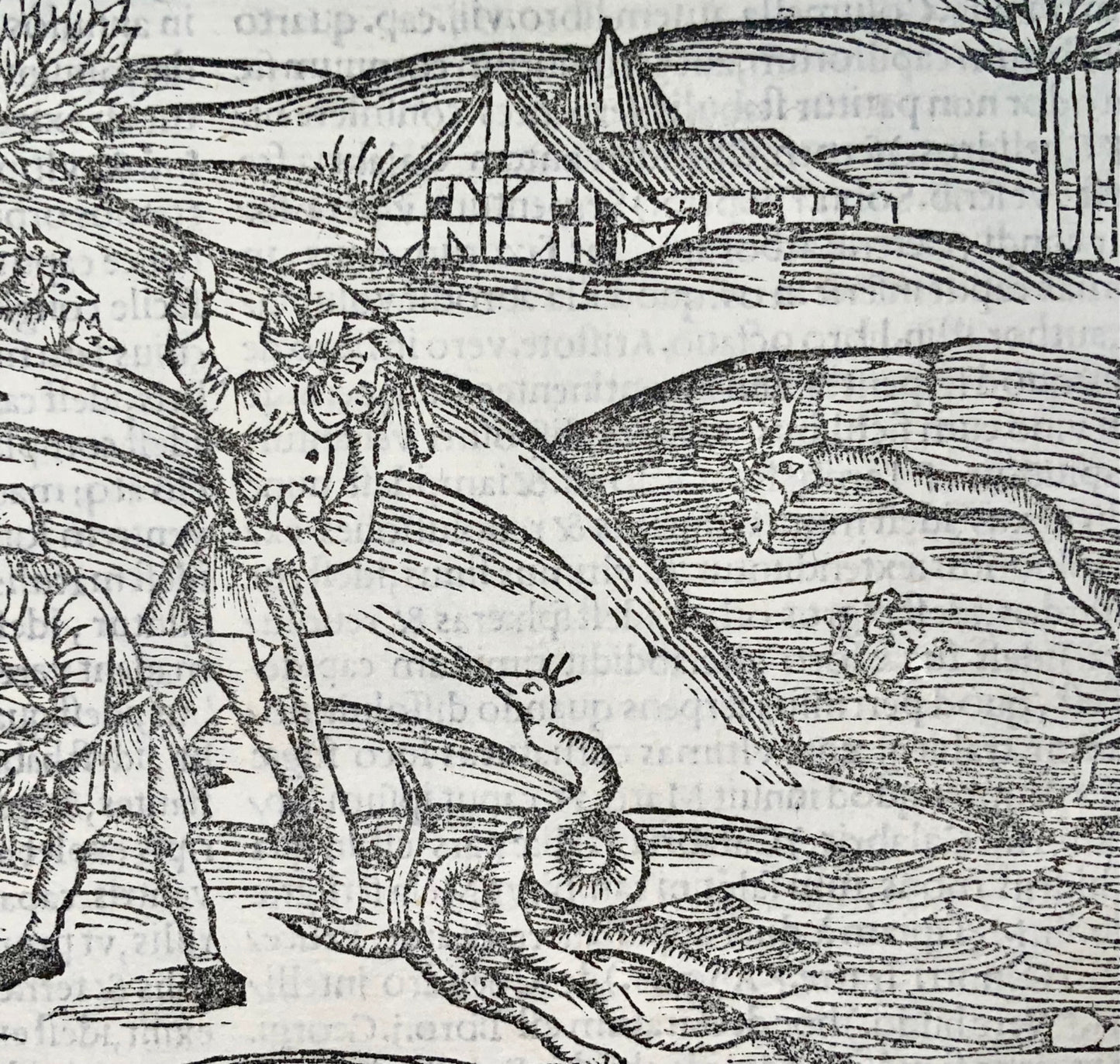 1502 Peste sous les traits de serpents, gravure sur bois incunable, Géorgiques de Virgile
